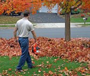 Man blowing leaves