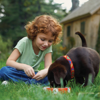 Repel ticks in yard 