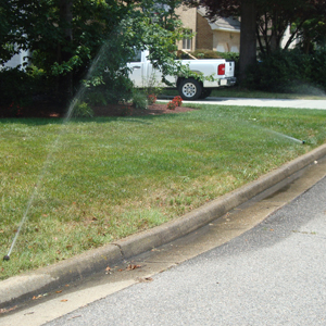 Water sprinkles for the lawn - natural watering