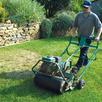 Get rid of crabgrass – How to kill crabgrass