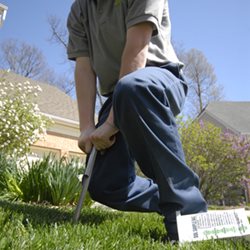 Technician performing soil test