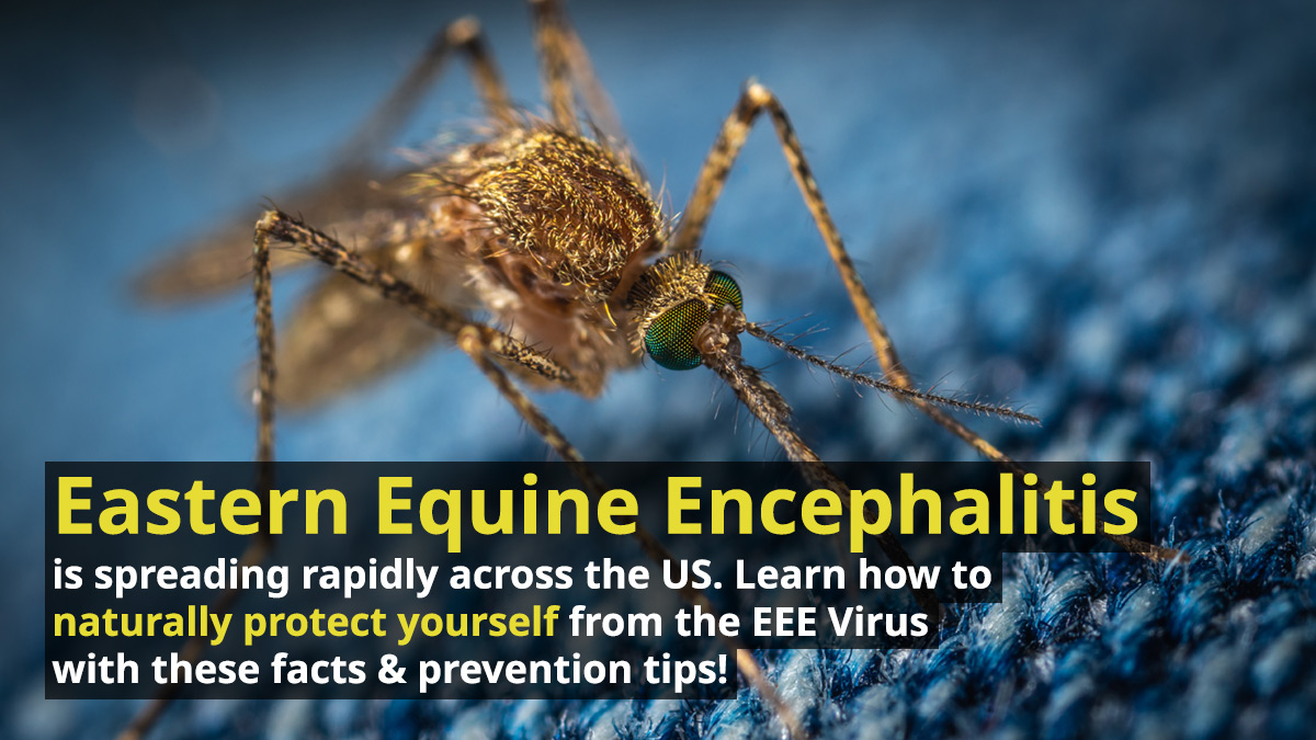 Eastern Equine Encephalitis is spreading rapidly across the US. Learn how to naturally protect yourself from the EEE Virus with these facts & prevention tips!