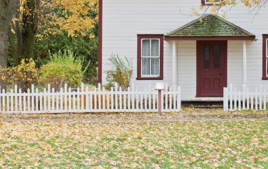 In the garden: This fall, try mulch-mowing leaves into lawn, Home And  Garden