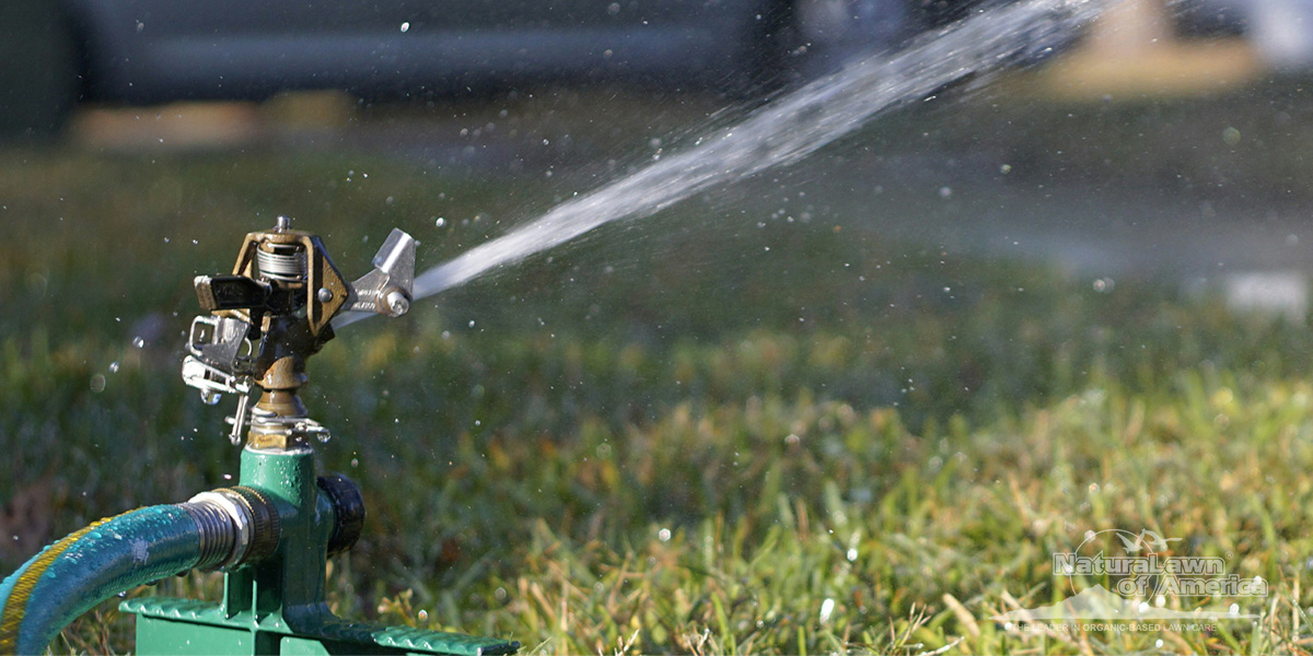 Integrated Pest Management for Lawns-A Practical Guide