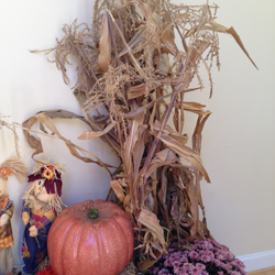 Fall Corn Stalk Decorations