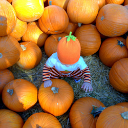 Child in pumpkin patch