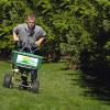 Organic-Based Weed Control for Lawns