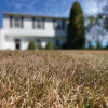 Why Lawn Care is Important During August