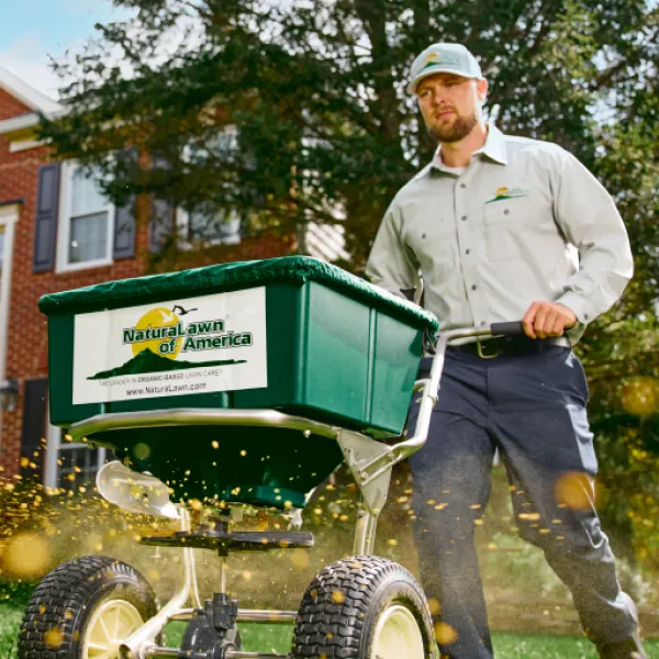 Organic-Based Fertilizer