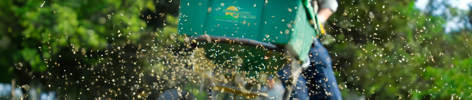 Aeration & Seeding