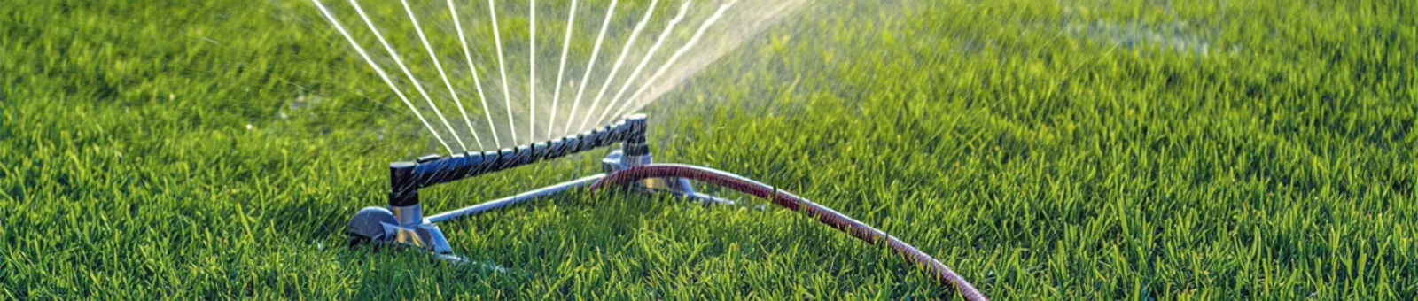 Watering & Mowing