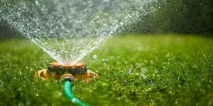 Watering & Mowing