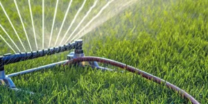 Watering & Mowing