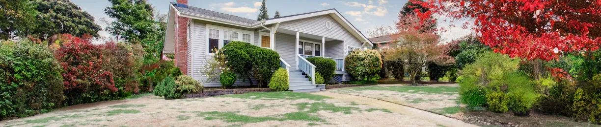 How To Treat Brown Patches In Your Yard