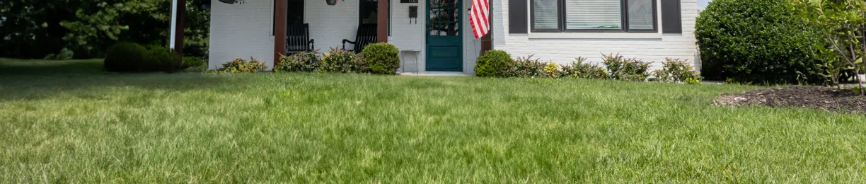 Should I Fertilize My Lawn in Autumn?