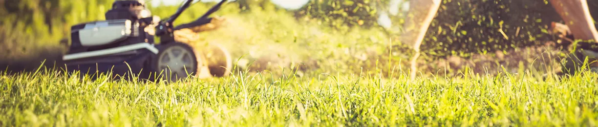 Winter Lawn Care Tips - How to Prepare for the Season Change