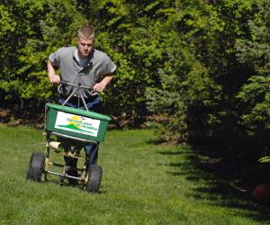 Natural on sale lawn care