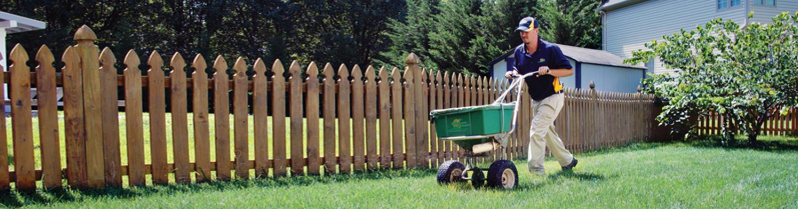 Lawn care technician overseeding lawn after aeration - Lawn Aeration & Seeding near me