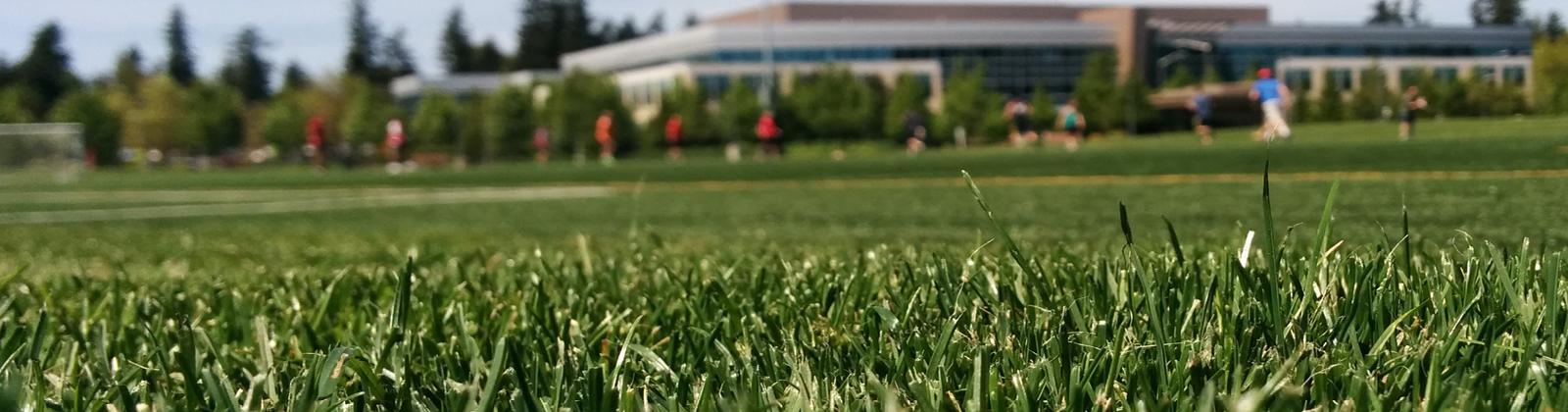 Athletic field maintenance service - Sports field maintenance