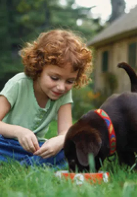 Creating a Tick-Free Haven: Effective Yard Prevention Techniques