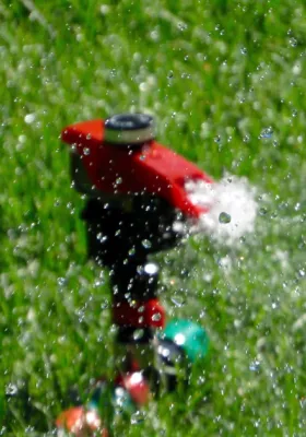 Tips for Watering Your Lawn | Natural Watering Dews & Don'ts