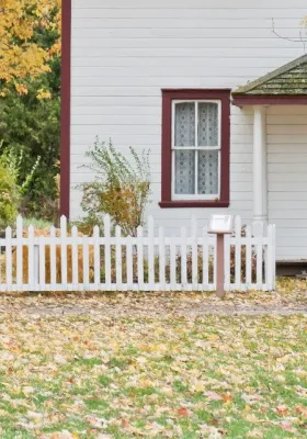 Should I Rake or Mulch Autumn Leaves?